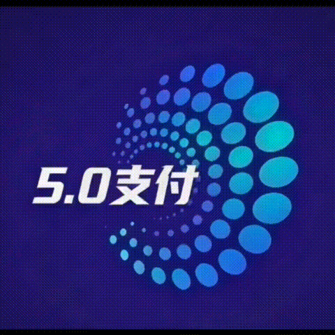 5.0pay